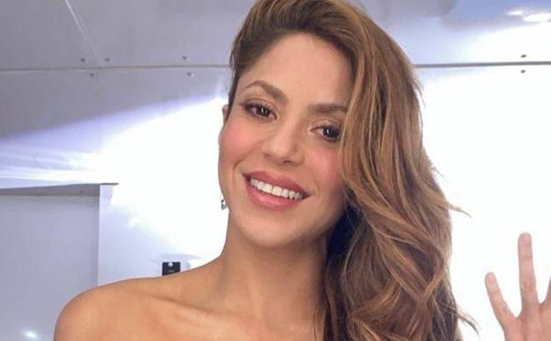 Shakira presumió el regalo más curioso que recibió en su cumpleaños  / Instagram
