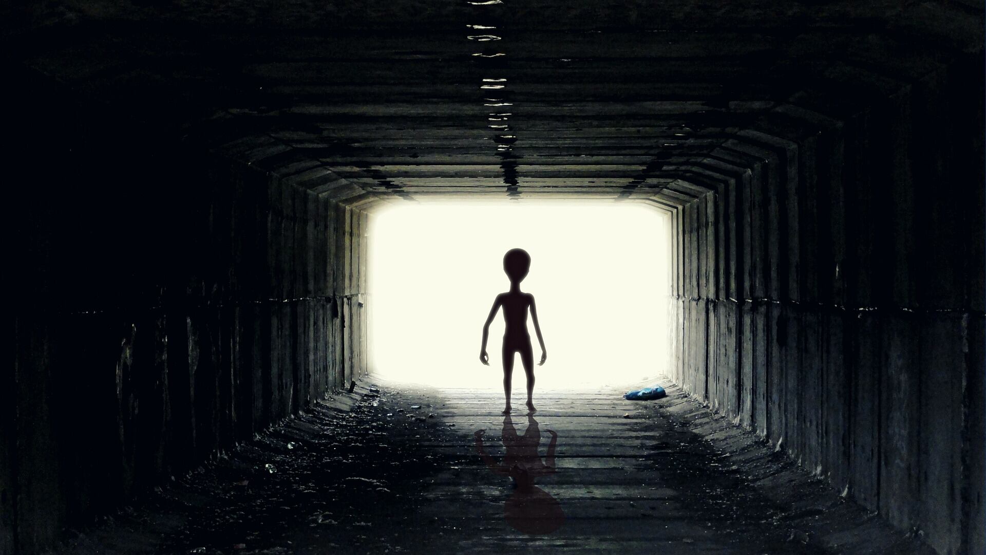 Extraterrestre / Pixabay