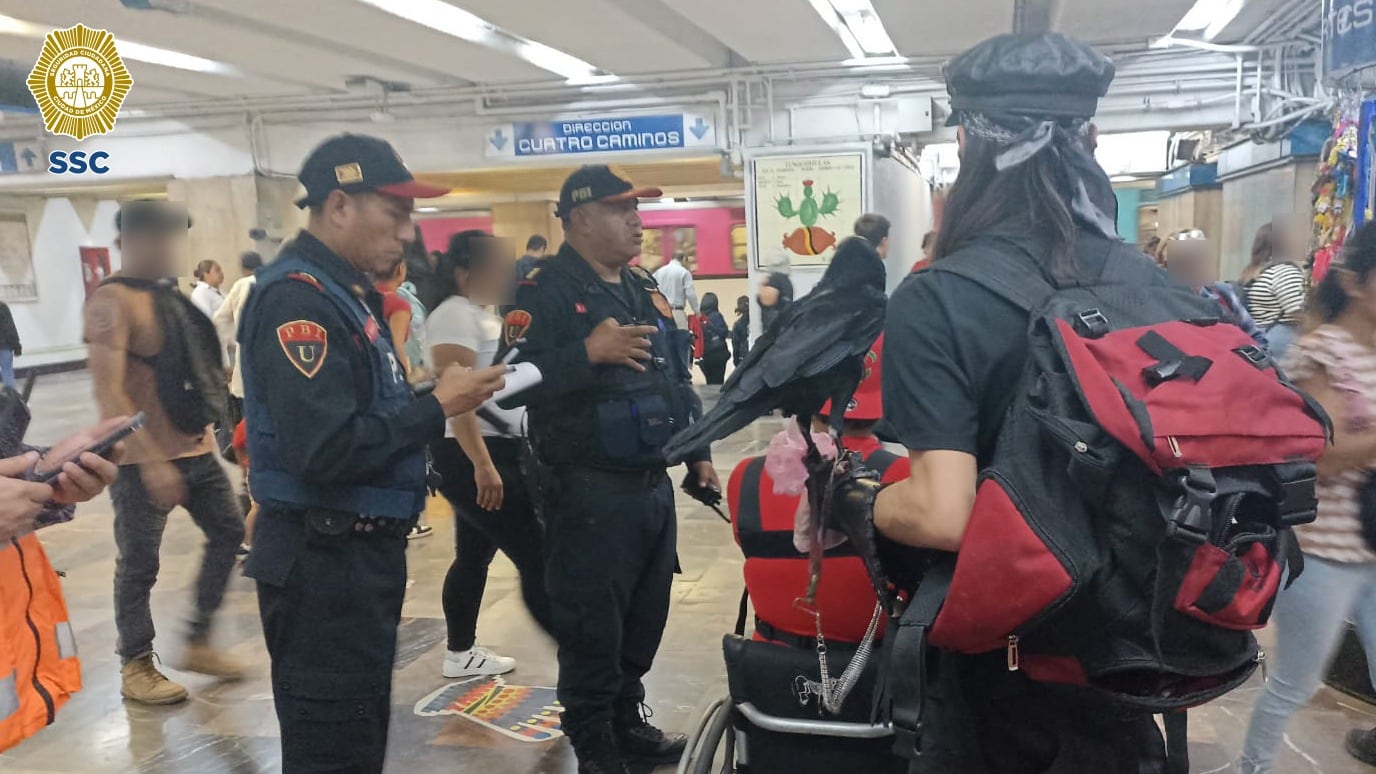 Cuervo viaja en el Metro de la CDMX con ayuda de policía