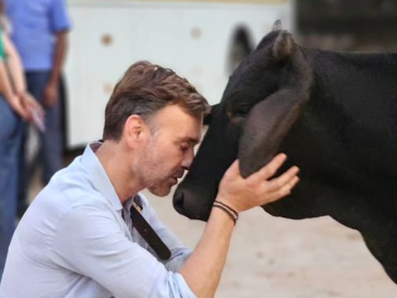 Jordi Castell vivió inesperado encuentro con un toro durante su viaje a India