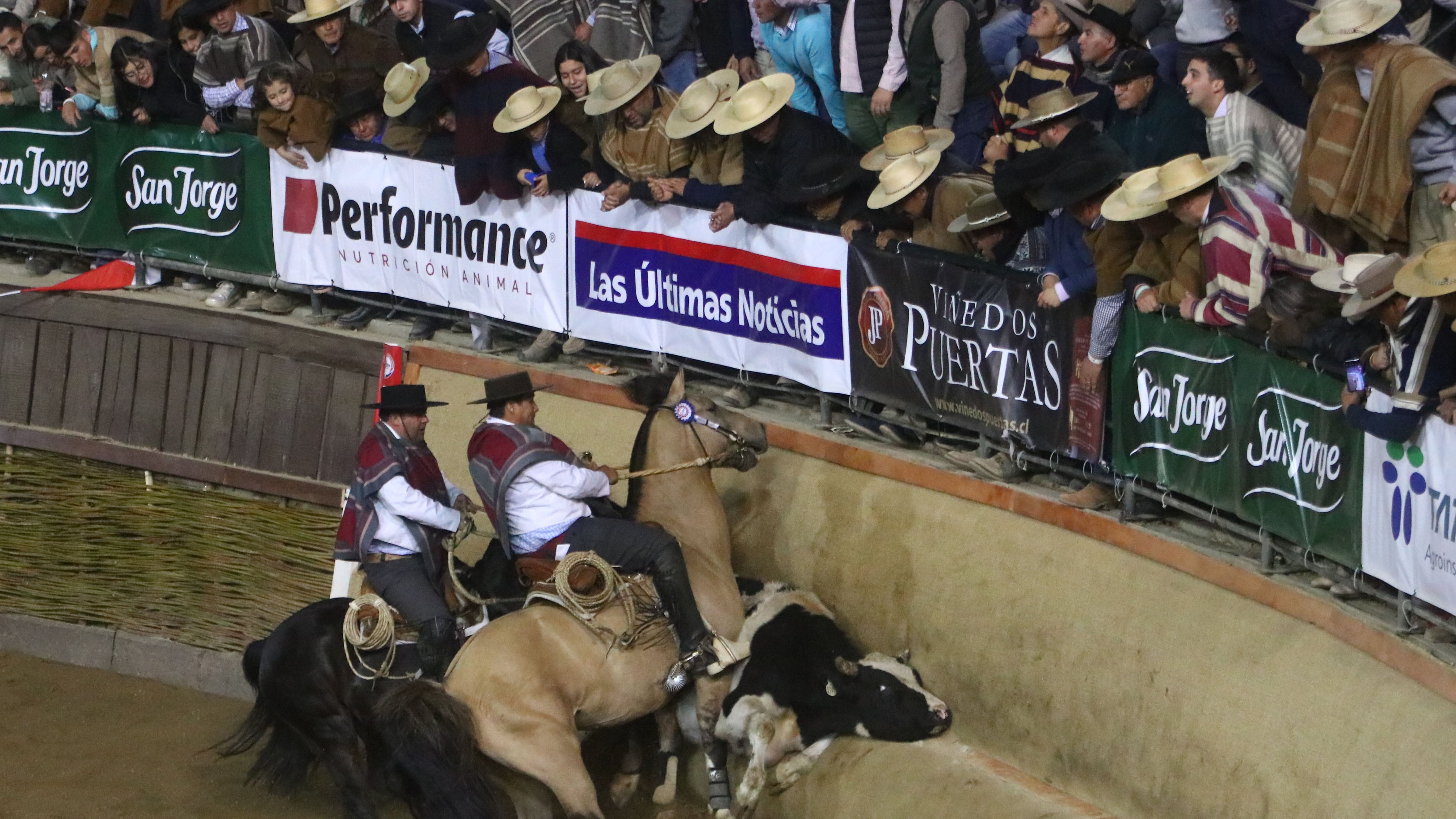 En abril se realizó el Campeonato Nacional de Rodeo. / Jorge Loyola/Photosport