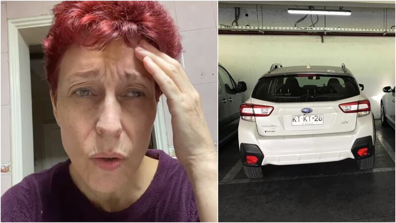 "¡Por favor, ayuda!": el angustiante llamado de la doctora Carolina Herrera tras robo de su auto